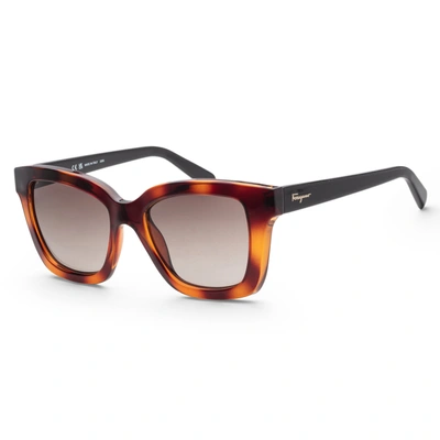 Ferragamo Women's Fashion 53mm Sunglasses In Brown