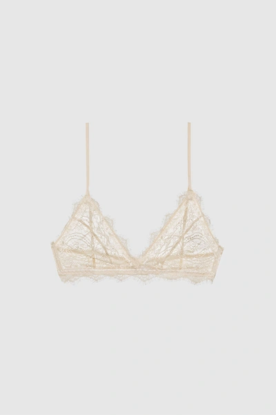 Anine Bing Lace Bra With Trim In Nude