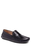 Carlos Santana Jorde Snake Embossed Driver Loafer In Black
