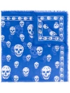 Alexander Mcqueen Skull Print Scarf