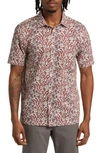 Good Man Brand Big On-point Short Sleeve Stretch Organic Cotton Button-up Shirt In Red Poppy Floral