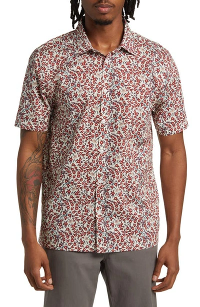 Good Man Brand Big On-point Short Sleeve Stretch Organic Cotton Button-up Shirt In Red Poppy Floral