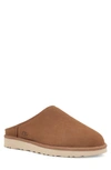 Ugg Classic Scuff Slipper In Chestnut