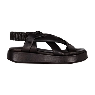 Cortana Suro Leather Sandals In Black