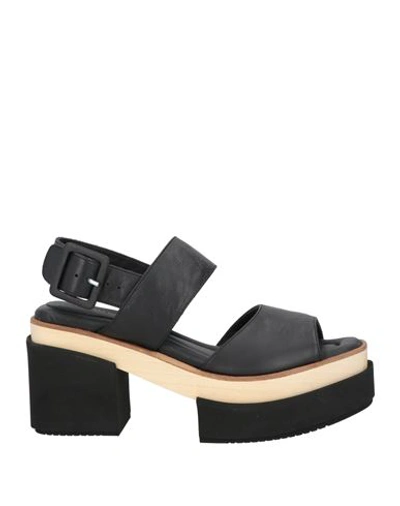 Paloma Barceló Woman Sandals Black Size 8 Soft Leather In Black