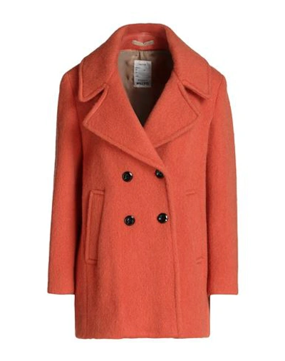 Paltò Woman Coat Orange Size 8 Virgin Wool