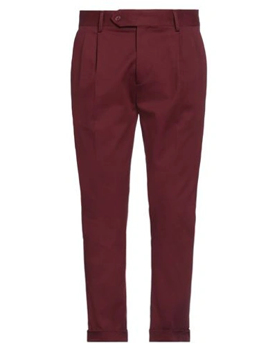 Paul Miranda Man Pants Burgundy Size 36 Cotton, Elastane In Red