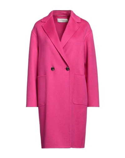 Agnona Woman Coat Fuchsia Size 8 Cashmere In Pink