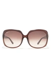 Ferragamo Salvatore  59mm Square Sunglasses In Brown