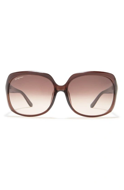 Ferragamo Salvatore  59mm Square Sunglasses In Brown