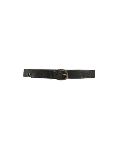 Campomaggi Woman Belt Black Size 43 Cowhide