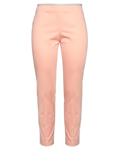 Peserico Woman Pants Salmon Pink Size 6 Cotton, Elastane