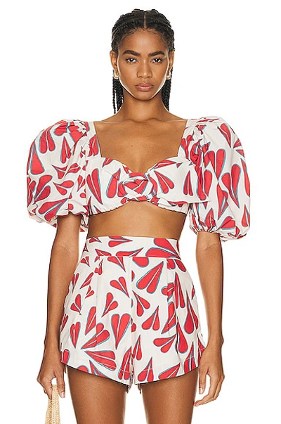 Adriana Degreas Heart Cropped Blouse In Neutrals