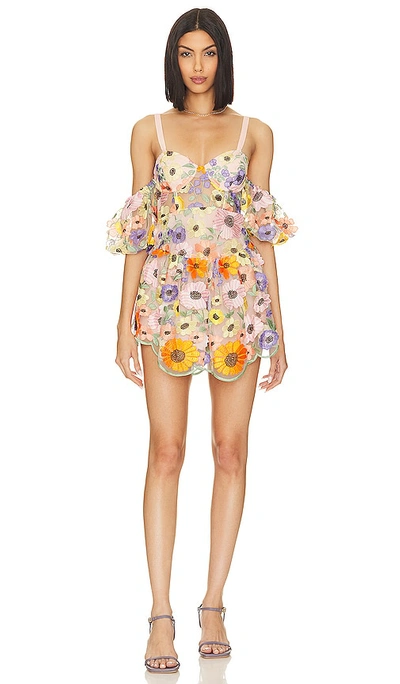 For Love & Lemons Prato Sheer Floral Mini Dress In Multicolor