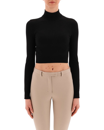 Max Mara Turtleneck Knitted Jumper In Black