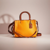 Coach Restored Rogue 25 In Colorblock In Brass/canyon Multi
