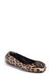 Tory Burch 'minnie' Travel Ballet Flat In Natural Leopard