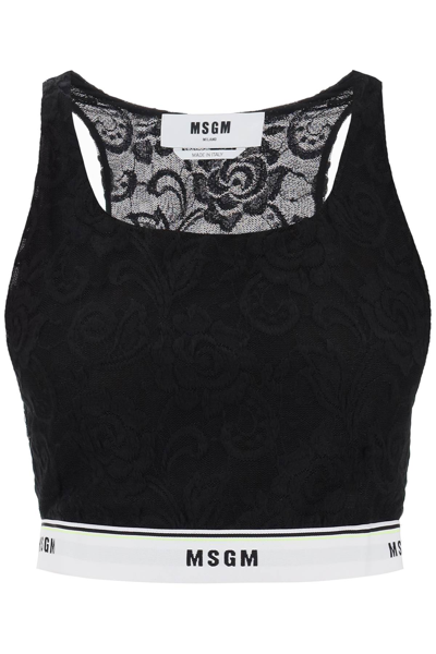 Msgm Lace Brassiere In Black