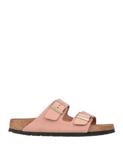 Birkenstock Round Toe Suede Sandals With Lateral Buckles In Pink