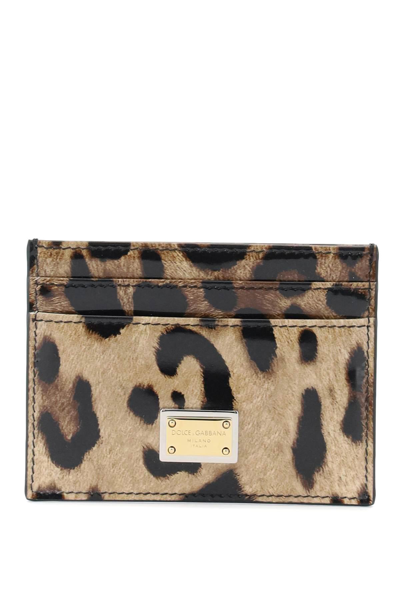 Dolce & Gabbana Leopard Print Leather Cardholder In Beige,black