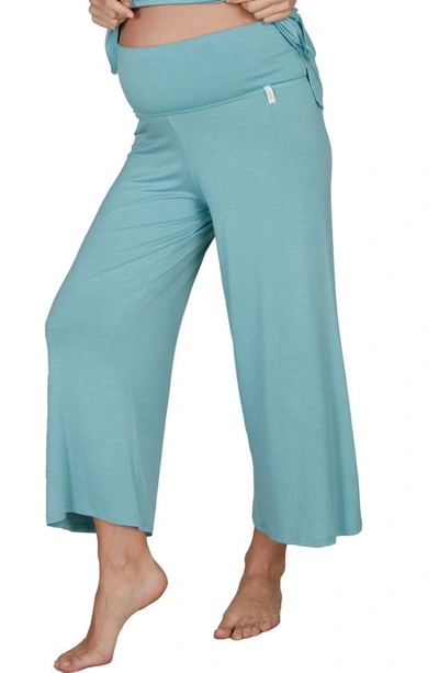 Cache Coeur Origin Wide Leg Maternity Pants In Ocean