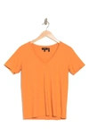 Theory Dayne Cotton Slub T-shirt In Canyon