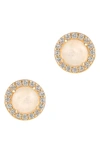 Adornia Fine Halo Moonstone Stud Earrings In White