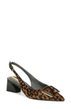 Franco Sarto Racer Slingback Pointed Toe Pump In Leopard Print Calf Hair