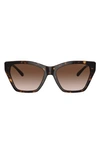 Emporio Armani 55mm Gradient Cat Eye Sunglasses In Shiny Hava