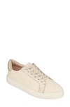 Good Choice New York Roslyn Low Top Sneaker In Gold