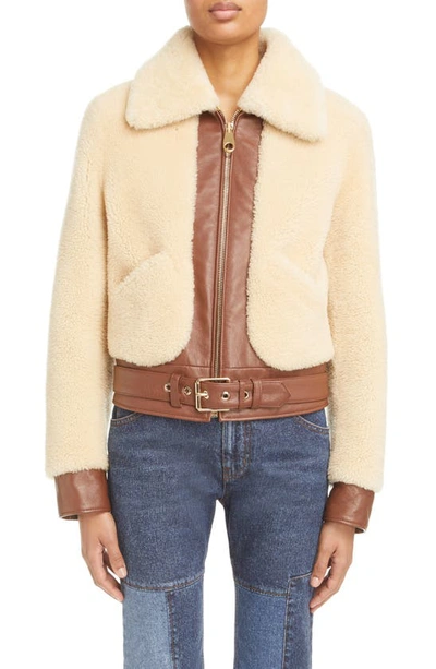 Chloé Belted Leather-trimmed Shearling Jacket In Beige