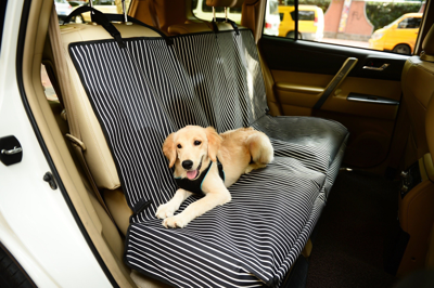 Pet Life 'open Road' Full Back Seat Safety Child Pet Cat Dog Car Seat Carseat Cover Protector In Blue