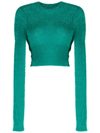 Ambush Green Fuzzy Turtleneck In Turchese No Color