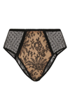 DOLCE & GABBANA POINT D'ESPRIT-TULLE BRIEFS