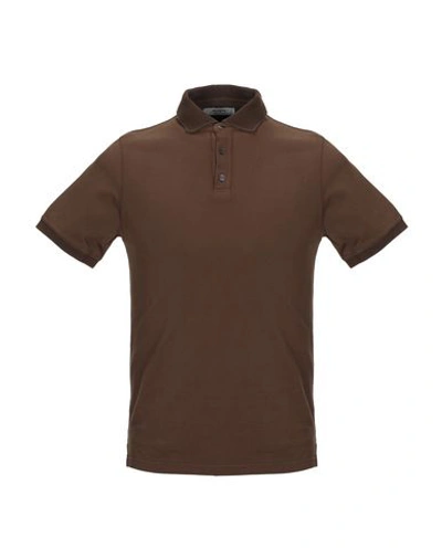 Alpha Studio Man Polo Shirt Brown Size 40 Cotton