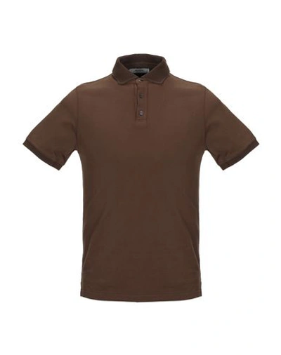 Alpha Studio Man Polo Shirt Brown Size 40 Cotton In Brown