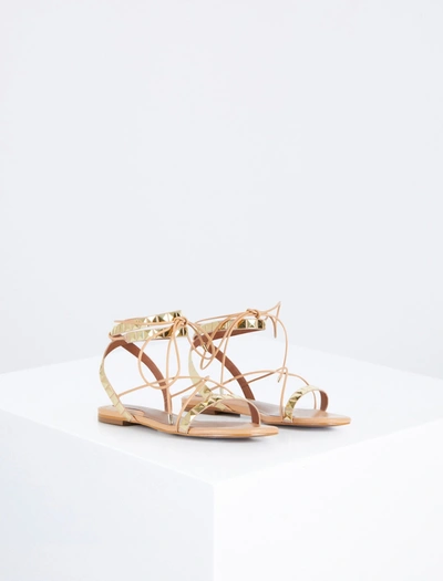 Bcbgmaxazria Tabbi Strappy Sandal In Palomino/platino