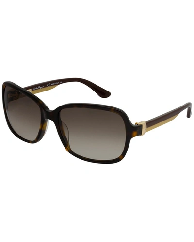 Ferragamo Women's Sf606s 58mm Sunglasses In Brown