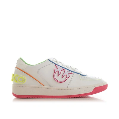 Pinko Low-top Basket Sneakers In White