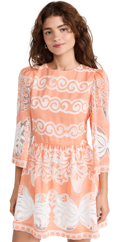 Borgo De Nor Carly Open Back Mini Dress In Sunbath Lace - Coral