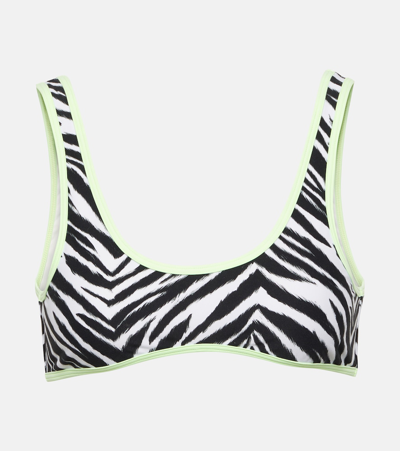 Reina Olga Coolio Printed Bikini Top In Green