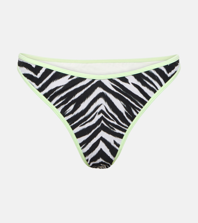 Reina Olga Coolio Printed Bikini Bottoms In Green