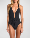 Sunshine 79 Solid V-plunge Halter One-piece Swimsuit In Black