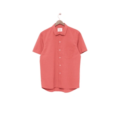 La Paz Panama Shirt In Spiced Coral In Pink