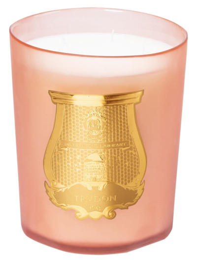 Trudon Tuileries Floral Chypre Great Candle