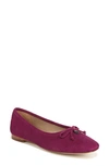 Sam Edelman Meadow Ballet Flat In Purple