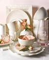 Coton Colors By Laura Johnson Blush Dinnerware Collection In Pink