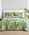 TOMMY BAHAMA HOME AREGADA DOCK REVERSIBLE QUILT SET COLLECTION BEDDING