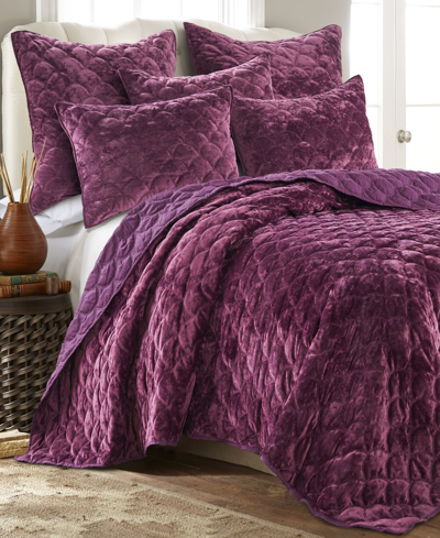 Levtex Ellora Velvet Quilt, Full/queen In Plum