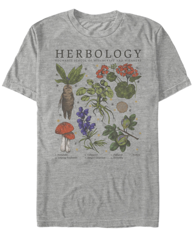 Fifth Sun Men's Herbology Short Sleeve Crew T-shirt In Athletic Heather